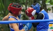 Gancho del boxeo tolimense en la retina Internacional, gracias a la Copa América