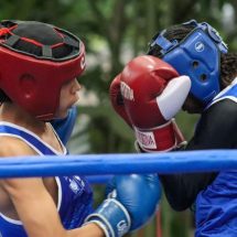 Gancho del boxeo tolimense en la retina Internacional, gracias a la Copa América